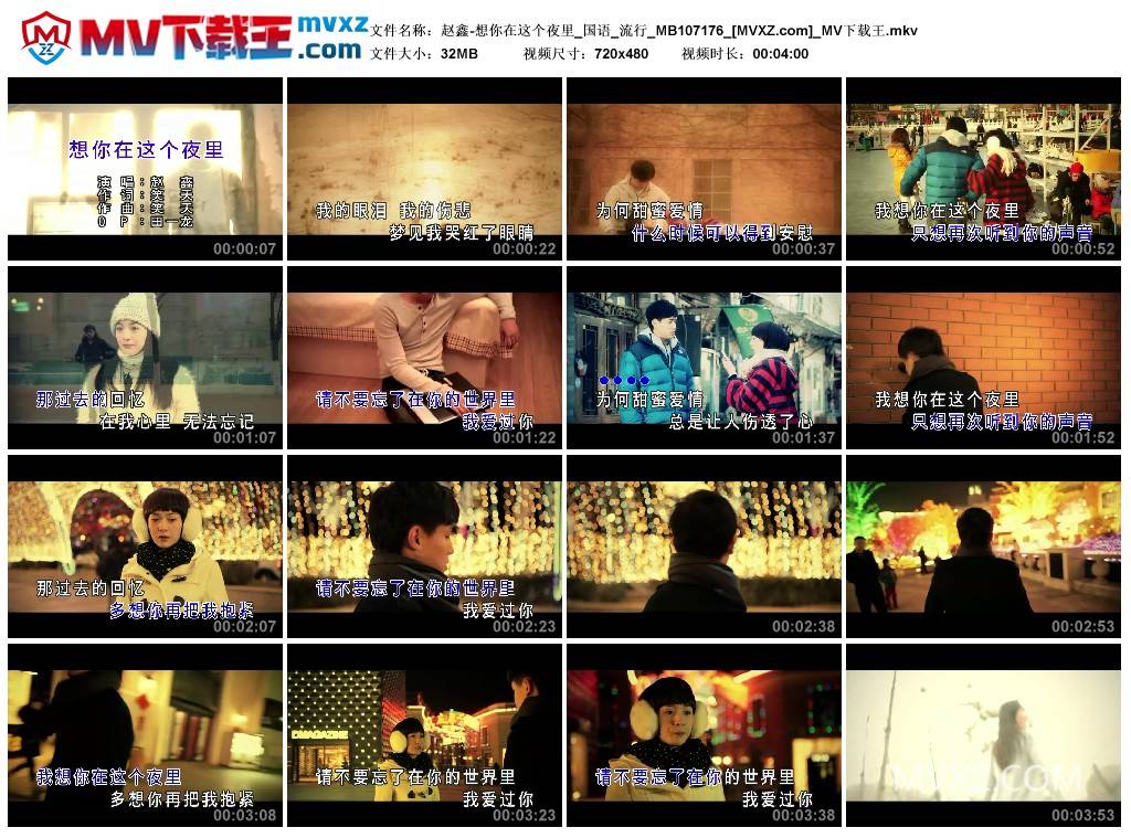 赵鑫-想你在这个夜里_国语_流行_MB107176
